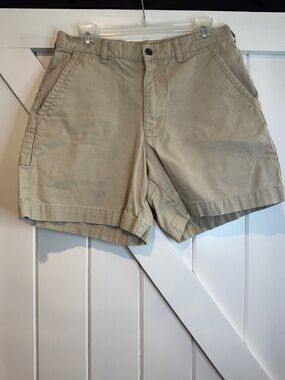 Patagonia Men's Flat-Front Shorts — Khaki